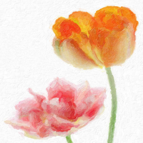 FLORAL PAIR Poster Print by Taylor Greene - Item # VARPDXTGSQ122A