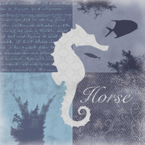 Beach Horse Poster Print by Lauren Gibbons # GLSQ016B