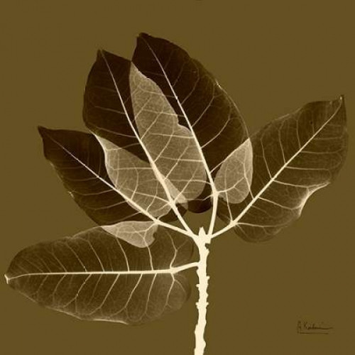 Harvest Leaves 1D Poster Print by Albert Koetsier - Item # VARPDXAKXSQ395A4