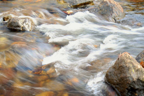 In Motion 2 Poster Print by Jace Grey # LCRC8805A