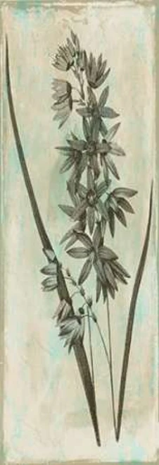 Earthy Floral Mate Poster Print by Jace Grey - Item # VARPDXJGPL236B