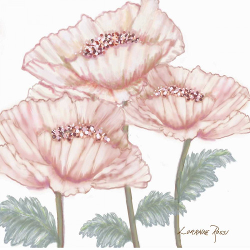 Pink Poppies 2 Poster Print by Lorraine Rossi # LRSQ248B