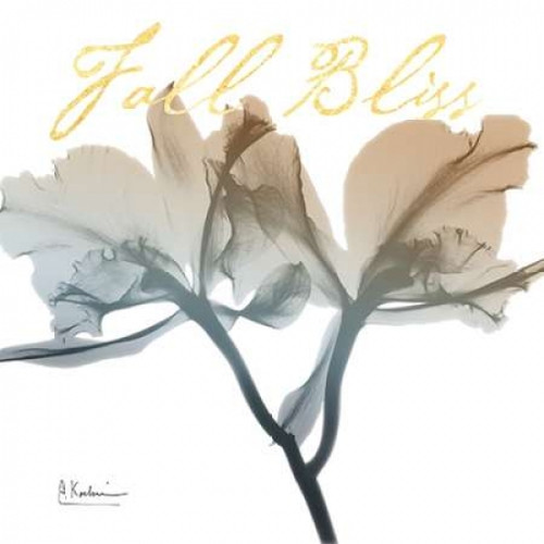 Blessed Orchid Poster Print by Albert Koetsier - Item # VARPDXAK8SQ018A1