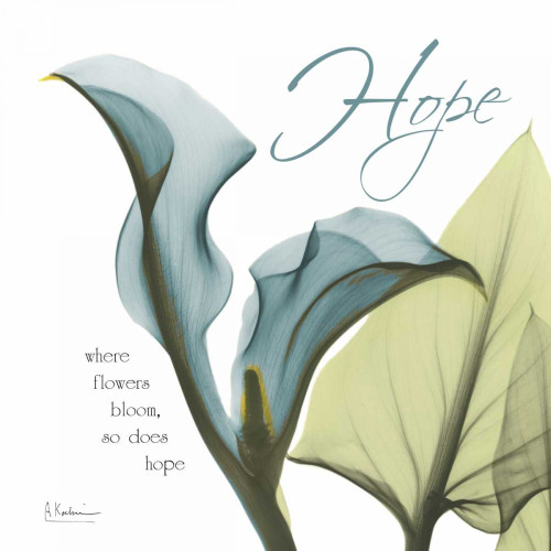 Calla Hope Poster Print by Albert Koetsier - Item # VARPDXAKXSQ144A