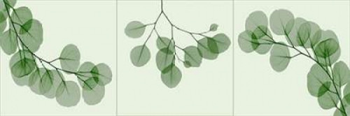 Leaf Triple in Green Poster Print by Albert Koetsier - Item # VARPDXAKPL014A