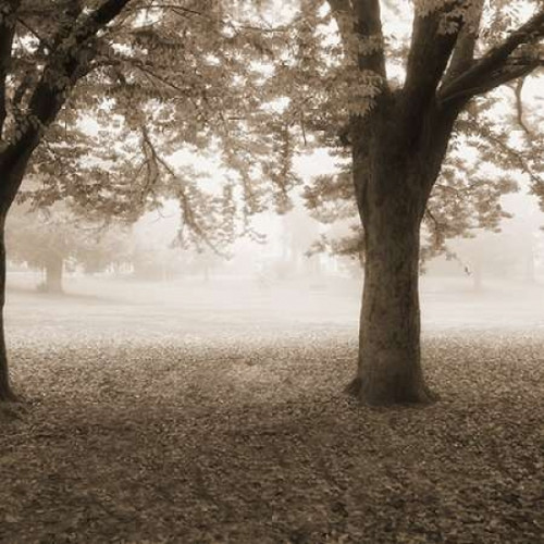 Eventide Park No Table Poster Print by Dianne Poinski (12 x 12) - Item # PDXQPD7SQ001ASMALL