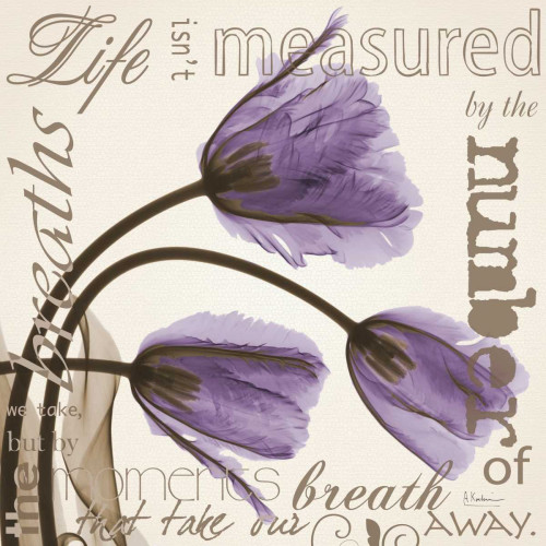 life Tulips Poster Print by Albert Koetsier # AKXSQ341G