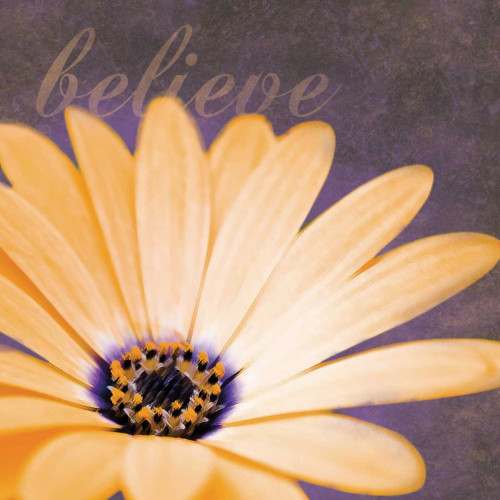 Believe Flower Poster Print by Lauren Gibbons - Item # VARPDXGLSQ019C1 Believe Flower Poster Print by Lauren Gibbons - Item # VARPDXGLSQ019C1