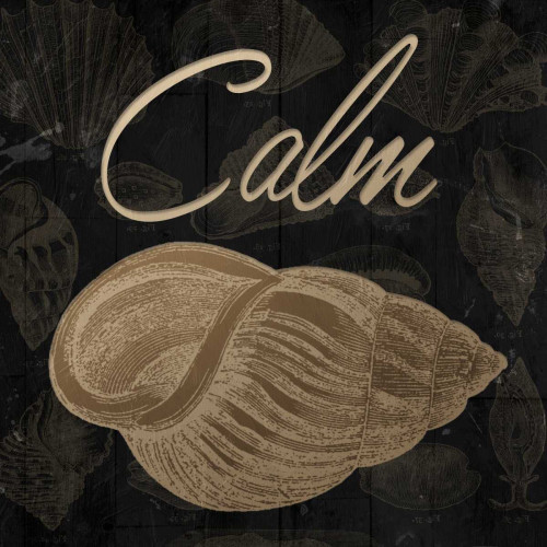 Calming Shell Poster Print by Jace Grey # JGSQ657B