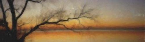 Tranquil Tree Silhouette Poster Print by Taylor Greene - Item # VARPDXTGPL009