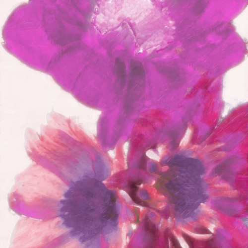 Blooms In Spring 2 Poster Print by Taylor Greene - Item # VARPDXTG5SQ008A