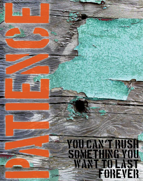 Patience Grunge PF Poster Print by Diane Stimson - Item # VARPDXDSRC284B