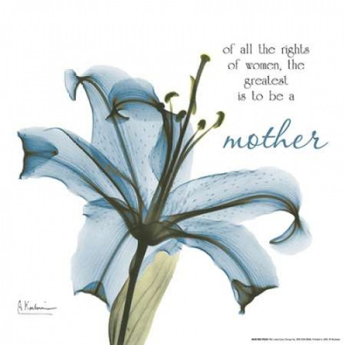 Mother Lily A36 Poster Print by Albert Koetsier - Item # VARPDXAKXSQ152A1