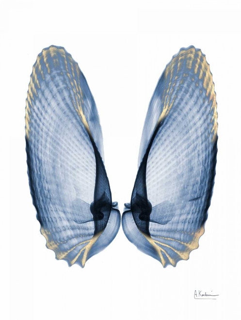 Golden Crusted Angel Wings Poster Print by Albert Koetsier - Item # VARPDXAK8RC018A