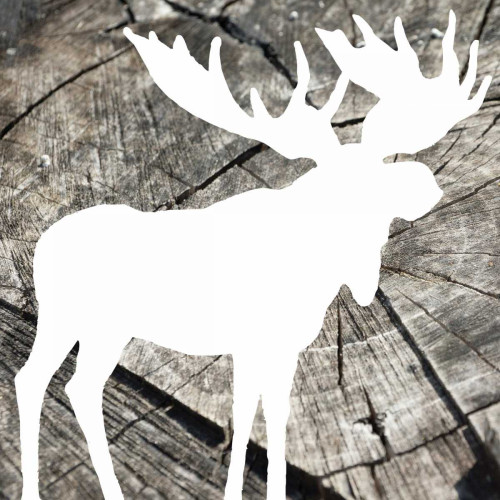 Wood Moose Reverse Poster Print by Jace Grey - Item # VARPDXJGSQ583A3
