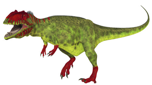 Giganotosaurus dinosaur on white background Poster Print by Arthur Dorety/Stocktrek Images - Item # VARPSTADR600076P