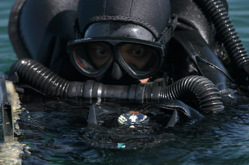A Navy SEAL combat swimmer Poster Print by Michael Wood/Stocktrek Images - Item # VARPSTWOD100079M