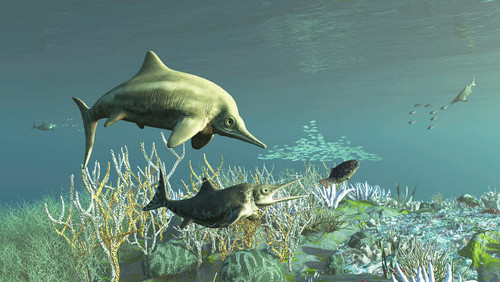An adult and a young juvenile Stenopterygius ichthyosaur hunting for food Poster Print by Arthur Dorety/Stocktrek Images - Item # VARPSTADR600077P