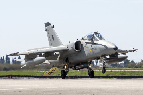 Italian Air Force AMX ACOL landing at Andravida Air Base, Greece Poster Print by Daniele Faccioli/Stocktrek Images - Item # VARPSTDFC100355M