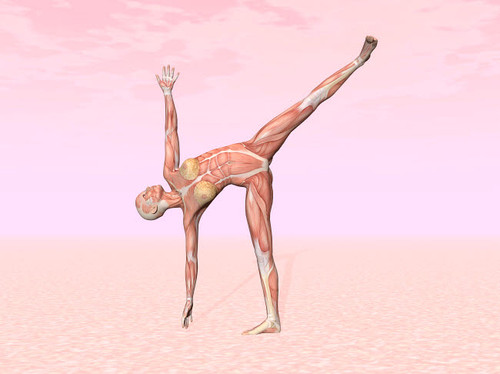 Female musculature performing half moon yoga pose Poster Print by Elena Duvernay/Stocktrek Images - Item # VARPSTEDV700023H