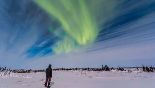 Aurora borealis under bright moonlight in Churchill, Manitoba, Canada Poster Print by Alan Dyer/Stocktrek Images - Item # VARPSTADY200205S Aurora borealis under bright moonlight in Churchill, Manitoba, Canada Poster Print by Alan Dyer/Stocktrek Images - Item # VARPSTADY200205S