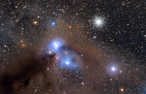 Galactic dust cloud NGC 6726 in Corona Australis Poster Print by Lorand Fenyes/Stocktrek Images - Item # VARPSTFEN200028S