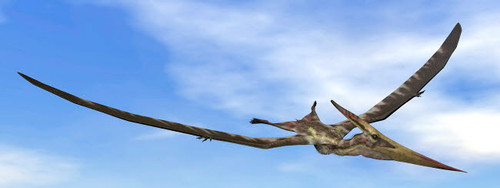 Pteranodon dinosaur flying in the blue sky Poster Print by Elena Duvernay/Stocktrek Images - Item # VARPSTEDV600160P