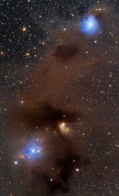 A rich region of reflection and emission nebulae in the Camaeleon constellation Poster Print by Lorand Fenyes/Stocktrek Images - Item # VARPSTFEN200006S