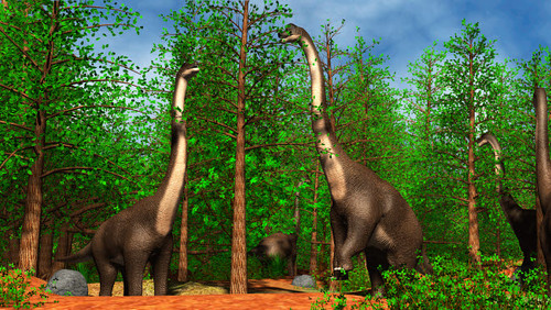 Group of Brachiosaurus dinosaurs grazing on tree tops Poster Print by Stocktrek Images - Item # VARPSTSTK600158P