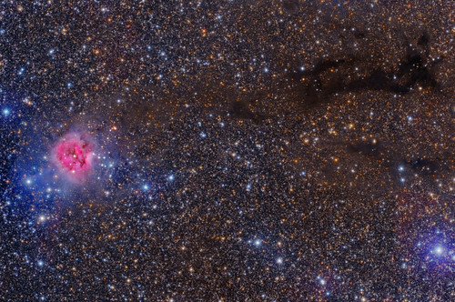 The Cocoon Nebula Poster Print by Roberto Colombari/Stocktrek Images - Item # VARPSTRCM200058S