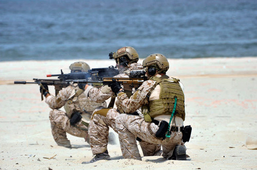 Navy SEALs participate in a capabilities exercise Poster Print by Stocktrek Images - Item # VARPSTSTK106331M