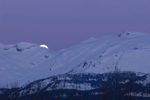 Moonset Poster Print by Yuichi Takasaka/Stocktrek Images - Item # VARPSTTAK100019S