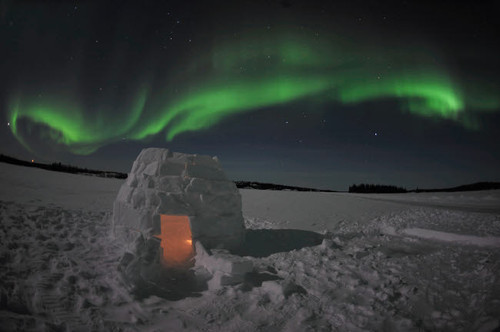 Aurora borealis over an igloo on Walsh Lake, Canada Poster Print by Jiri Hermann/Stocktrek Images - Item # VARPSTJHE100061S Aurora borealis over an igloo on Walsh Lake, Canada Poster Print by Jiri Hermann/Stocktrek Images - Item # VARPSTJHE100061S