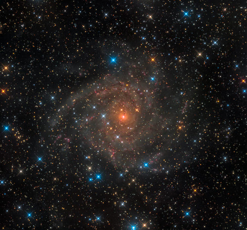 Intermediate spiral galaxy IC 342 Poster Print by Michael Miller/Stocktrek Images - Item # VARPSTMCM200042S
