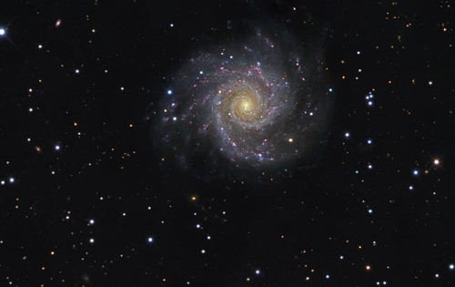 Messier 74, a face-on spiral galaxy in the constellation Pisces Poster Print by R Jay GaBany/Stocktrek Images - Item # VARPSTGAB100015S