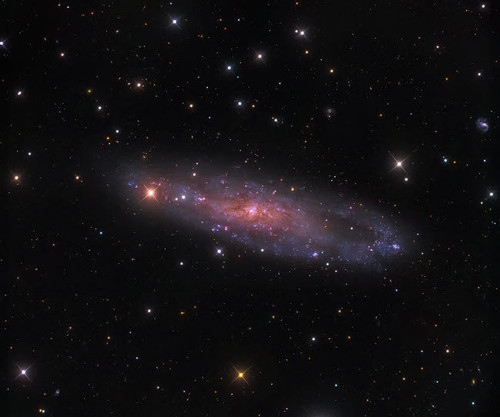 NGC 247 galaxy in the constellation Cetus Poster Print by Michael Miller/Stocktrek Images - Item # VARPSTMCM200033S