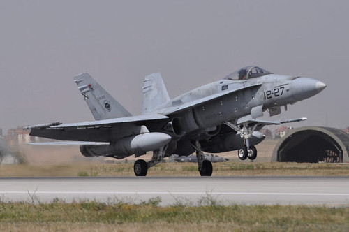 A Spanish Air Force EF-18A aircraft landing at Konya Air Base, Turkey Poster Print by Giorgio Ciarini/Stocktrek Images - Item # VARPSTGRC100017M