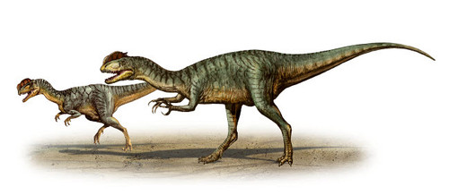 Aucasaurus garridoi, a prehistoric era dinosaur Poster Print by Sergey  Krasovskiy/Stocktrek Images - Item # VARPSTSKR100086P - Posterazzi