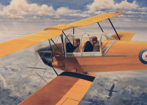 De Havilland DH82 Tiger Moth basic trainer biplane from the 1930's Poster Print by TriFocal Communications/Stocktrek Images - Item # VARPSTTRF100001M