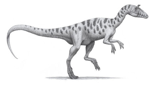 Cryolophosaurus ellioti, a large theropod dinosaur Poster Print by Heraldo Mussolini/Stocktrek Images - Item # VARPSTHMS100007P