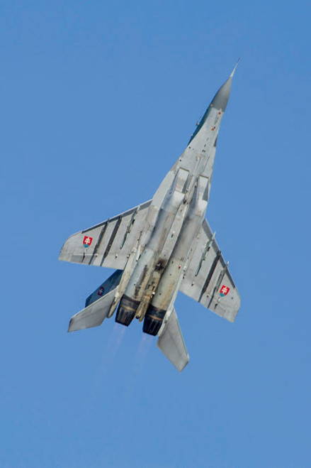 An MiG-29AS Fulcrum of the Slovak Air Force in flight Poster Print by Timm Ziegenthaler/Stocktrek Images - Item # VARPSTTZG100475M