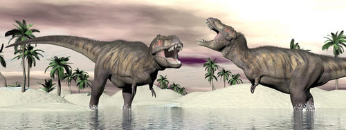 Two Tyrannosaurus rex dinosaurs fighting in the water Poster Print by Elena Duvernay/Stocktrek Images - Item # VARPSTEDV600135P Two Tyrannosaurus rex dinosaurs fighting in the water Poster Print by Elena Duvernay/Stocktrek Images - Item # VARPSTEDV600135P