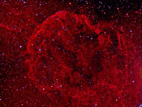 The Jellyfish Nebula Poster Print by Reinhold Wittich/Stocktrek Images - Item # VARPSTRWT200005S