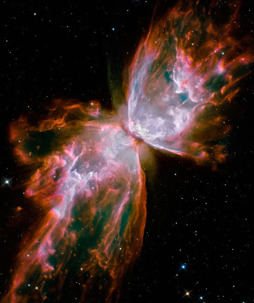 The Butterfly Nebula Poster Print by Stocktrek Images - Item # VARPSTSTK202850S