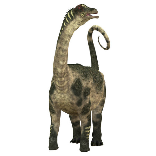 Antarctosaurus dinosaur Poster Print by Corey Ford/Stocktrek Images - Item # VARPSTCFR200410P