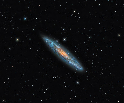NGC 253, the Sculptor Galaxy Poster Print by Michael Miller/Stocktrek Images - Item # VARPSTMCM200021S