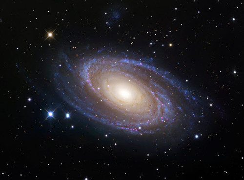 Spiral Galaxy Messier 81 Poster Print by Robert Gendler/Stocktrek Images - Item # VARPSTGEN100024S