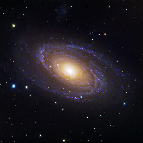 Bodes Galaxy, a spiral galaxy located in Ursa Major Poster Print by Robert Gendler/Stocktrek Images - Item # VARPSTGEN100094S