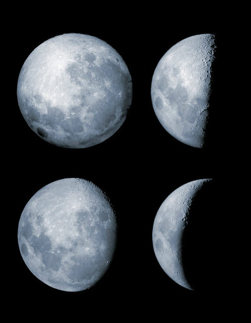 Four phases of the moon Poster Print by Rolf Geissinger/Stocktrek Images - Item # VARPSTRGE100035S