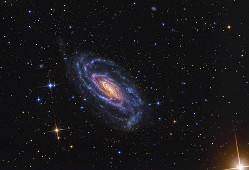 NGC 5033, a spiral galaxy situated in the constellation of Canes Venatici Poster Print by R Jay GaBany/Stocktrek Images - Item # VARPSTGAB100056S